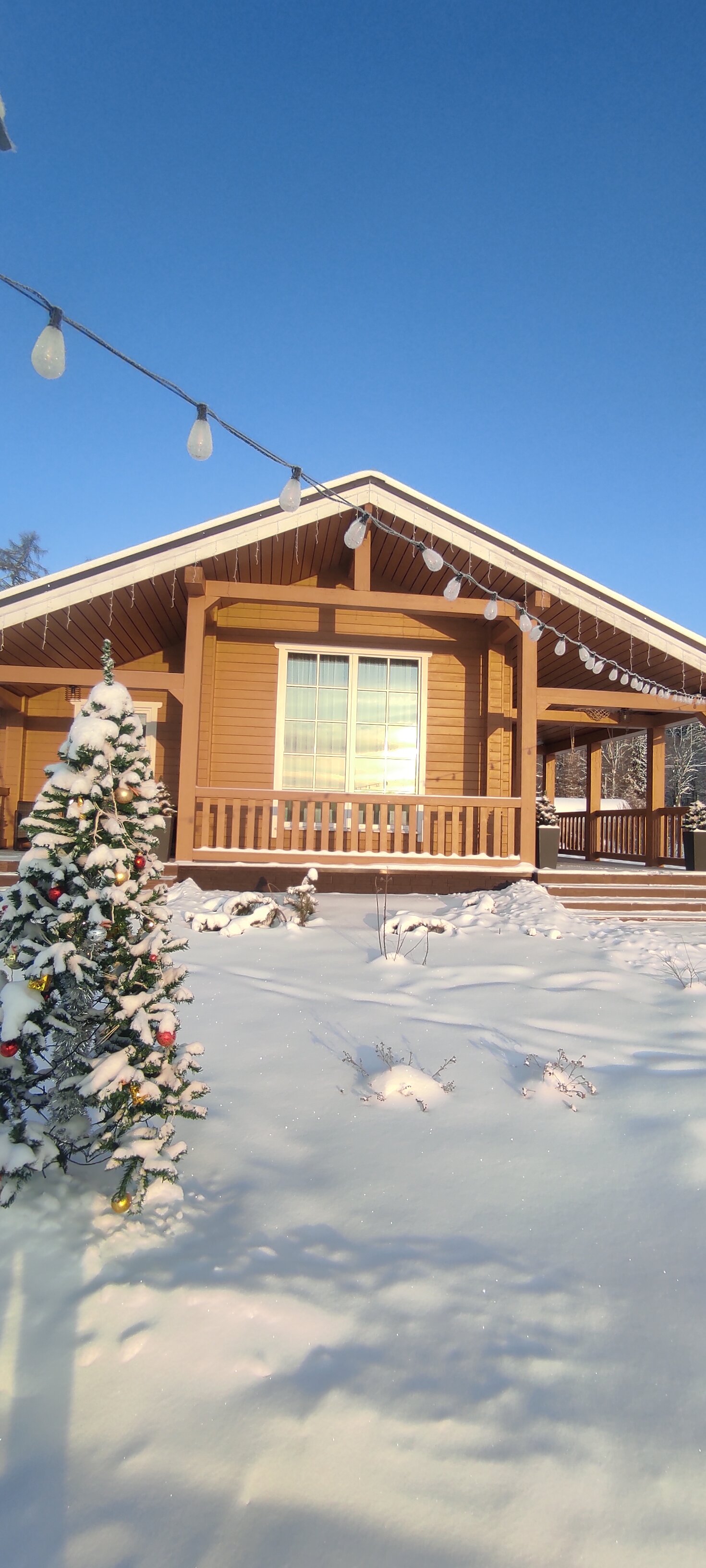 Фото Семейный