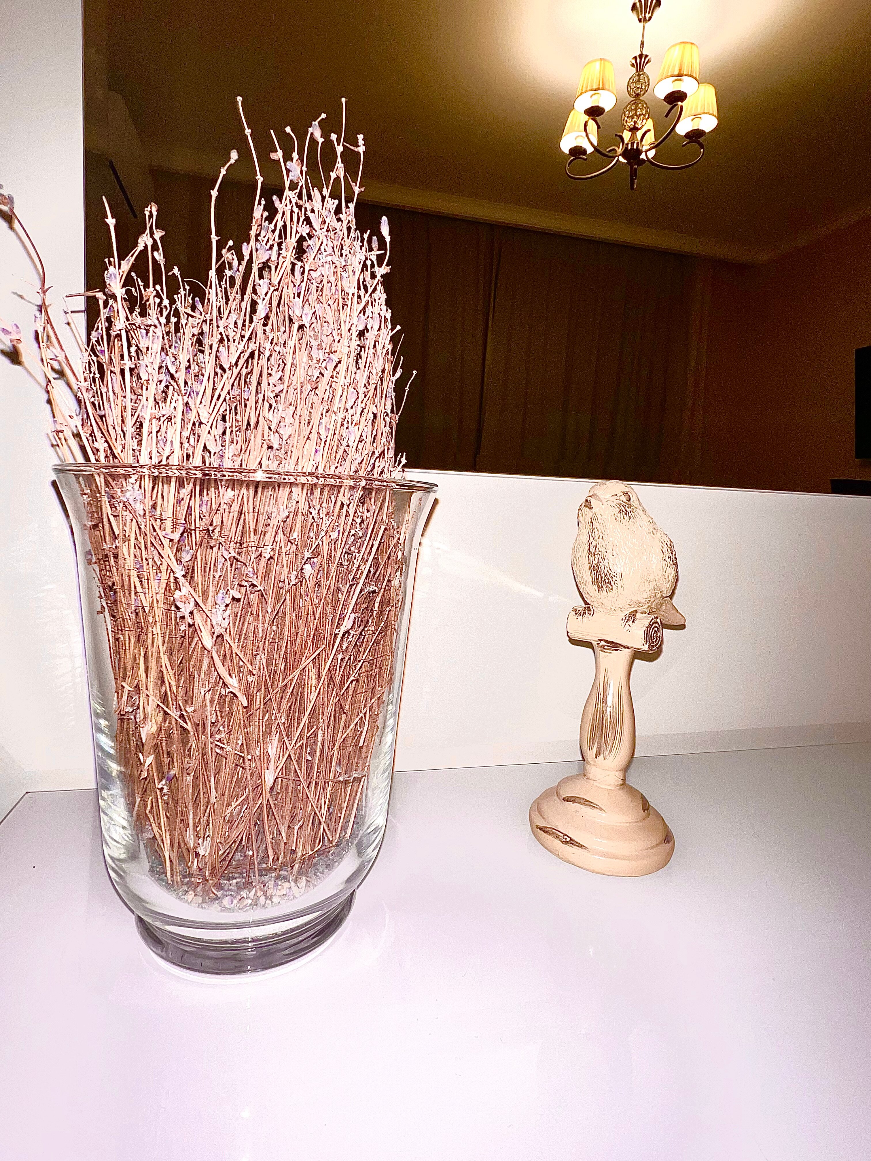 Фото Прованс