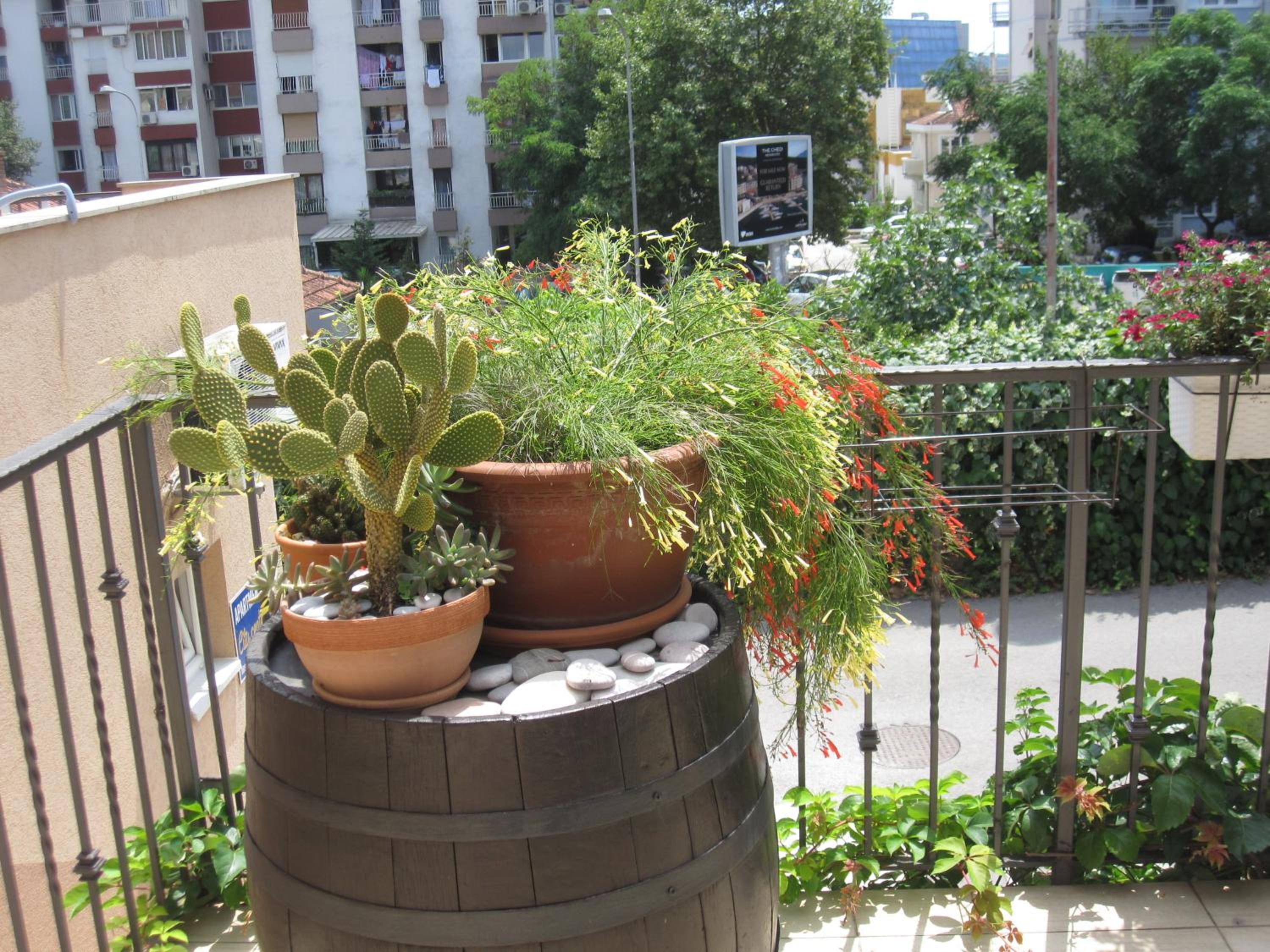 Фото Apartments City Center