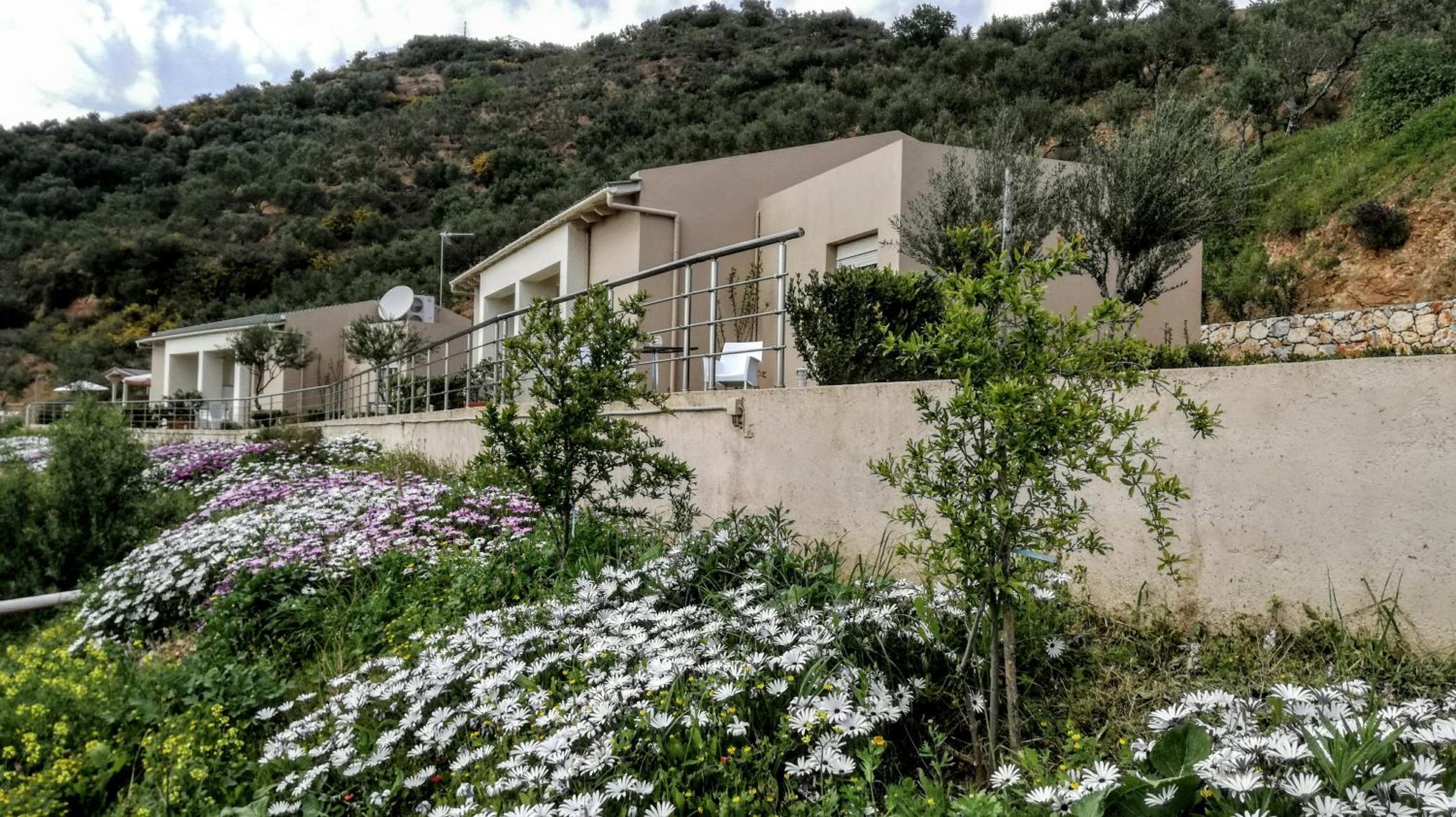 Фото Αksos Suites Accessible Accommodation