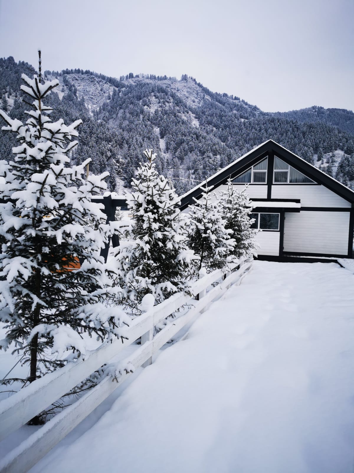 Фото Altay dream house