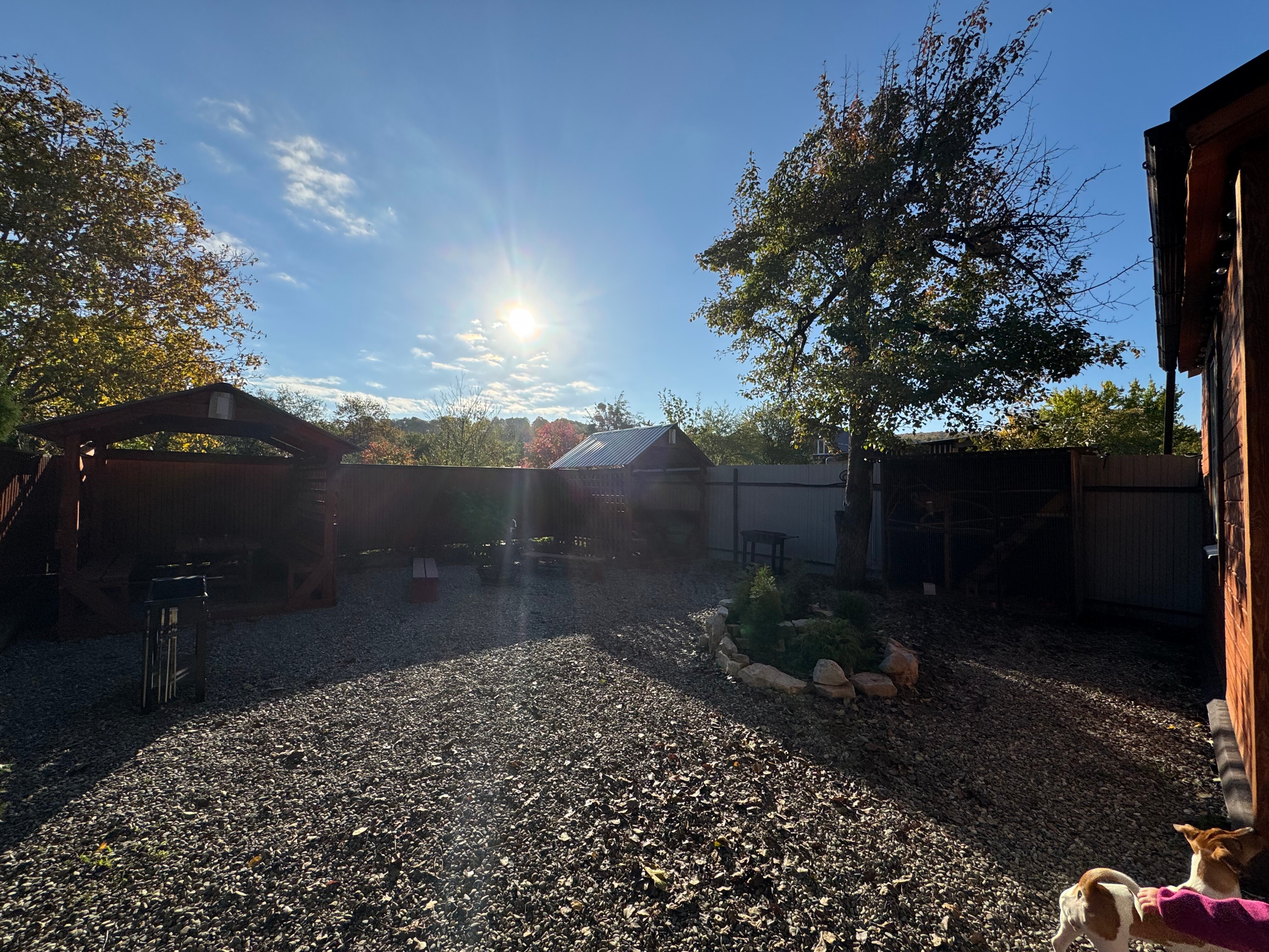 Фото Проксима