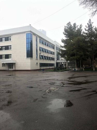 1 dan 5 daqiqagacha porno videolar