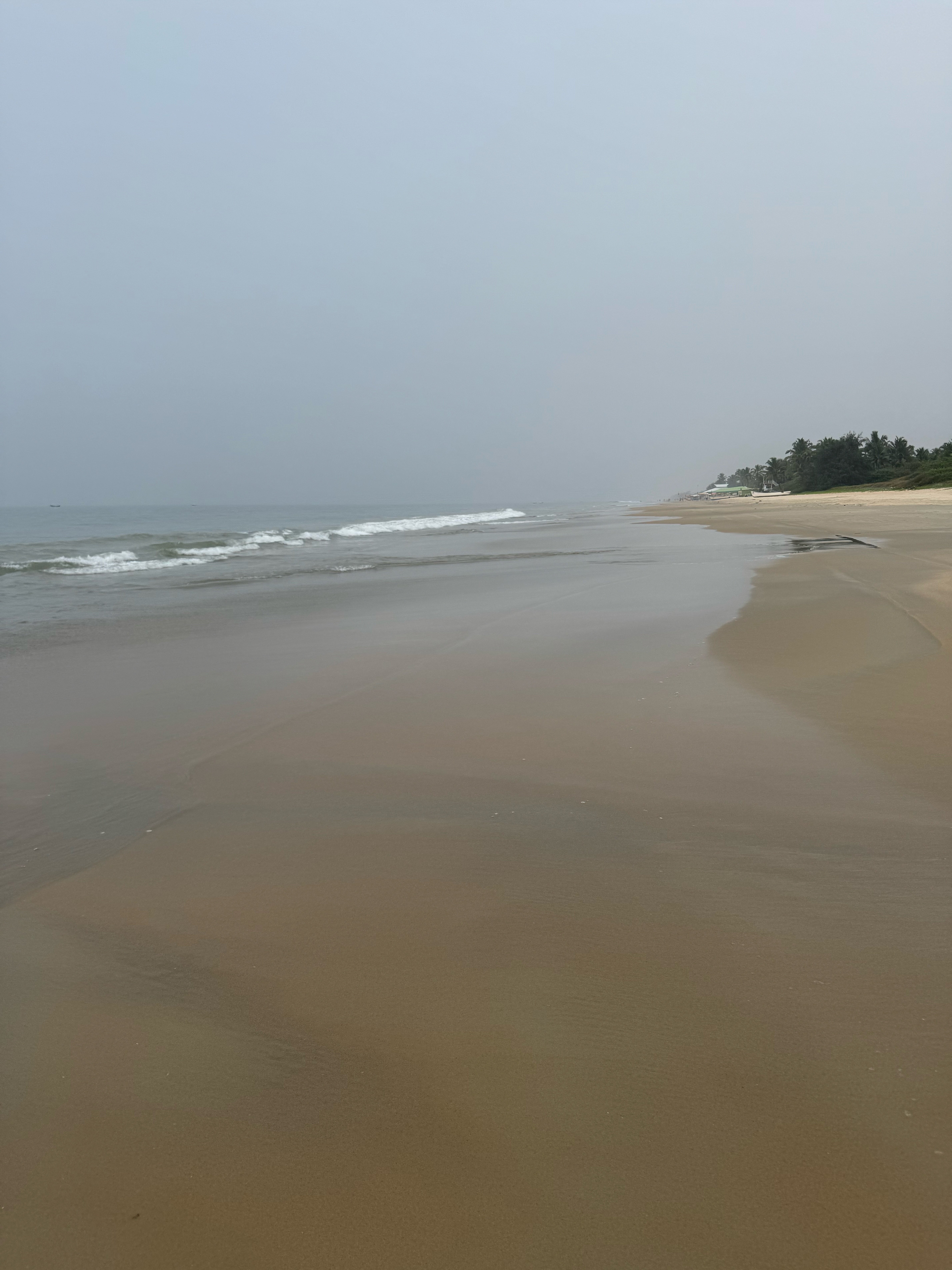Фото Azaya Beach Resort Goa