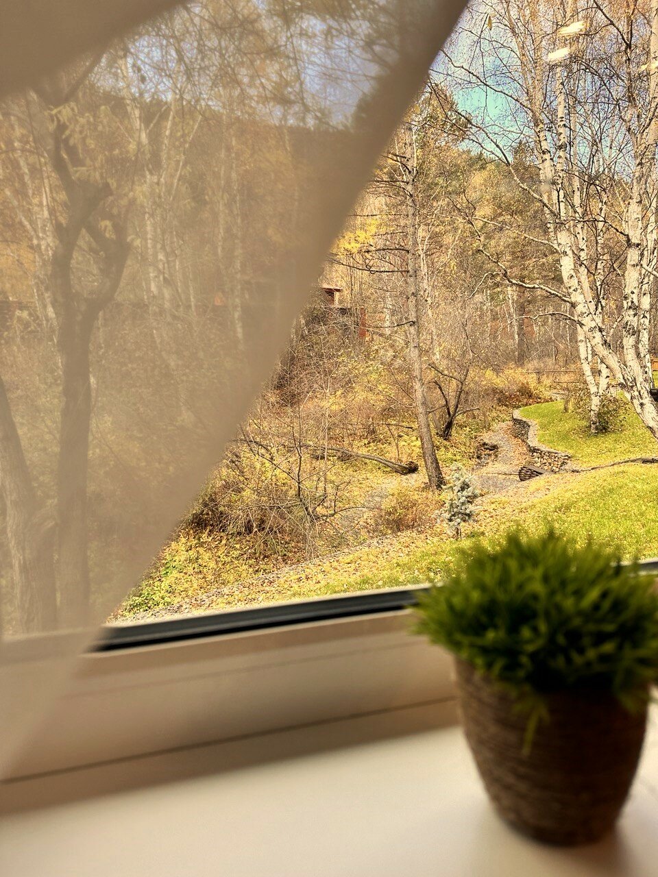 Фото Forest trail