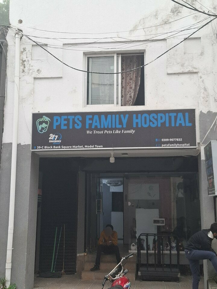 Pet shop Pets family hospital, Lahore, photo