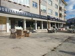 Kismet (Ankara Province, Mamak District, Natoyolu Avenue, 117A), tienda de alfombras