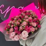 Verbena Flowers (Saransk, Polezhaeva Street, 48), flower shop