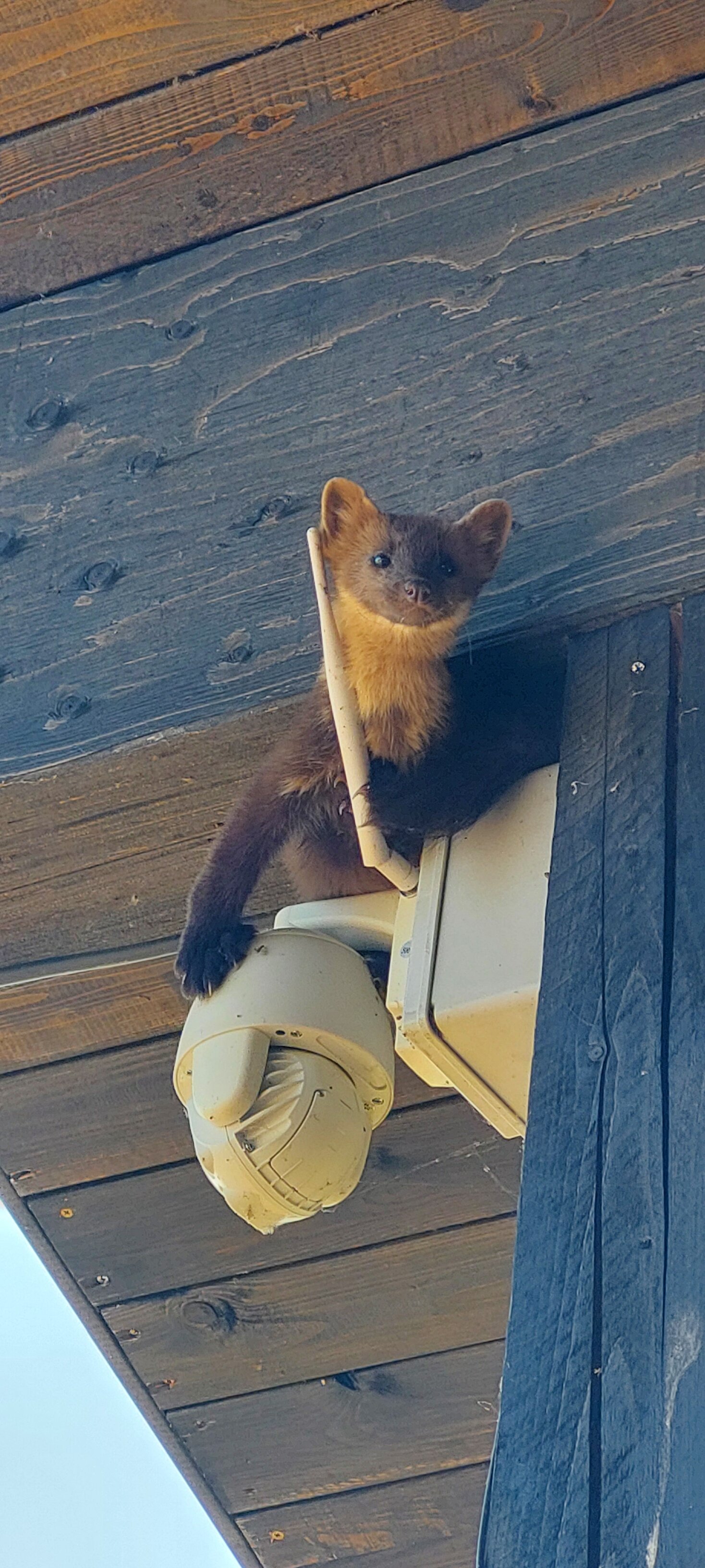 Фото Усадьба Южный Берег