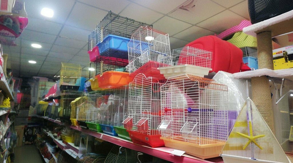 Pet shop Eylul Aquarium - Petshop, Torbali, photo
