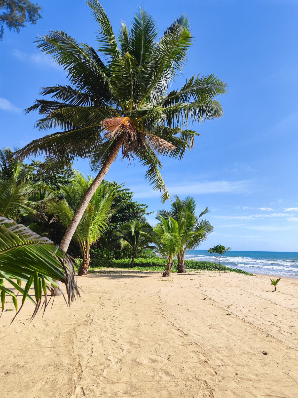 Фото Grand Villa Noi