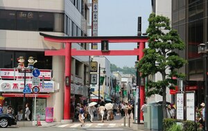 отель Sotetsu Fresa Inn Kamakura Ofuna Higashiguchi