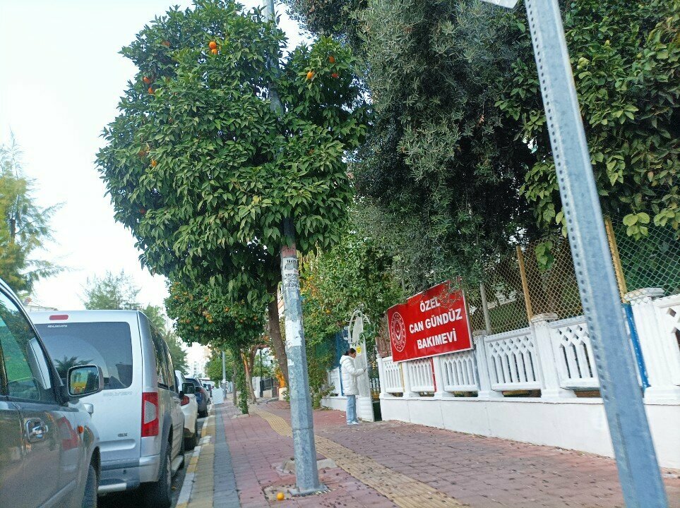 Kindergarten, nursery Can Yuva, Antalya, photo