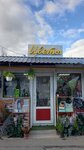 Paradiseflow (Первомайская улица, 4), flower shop