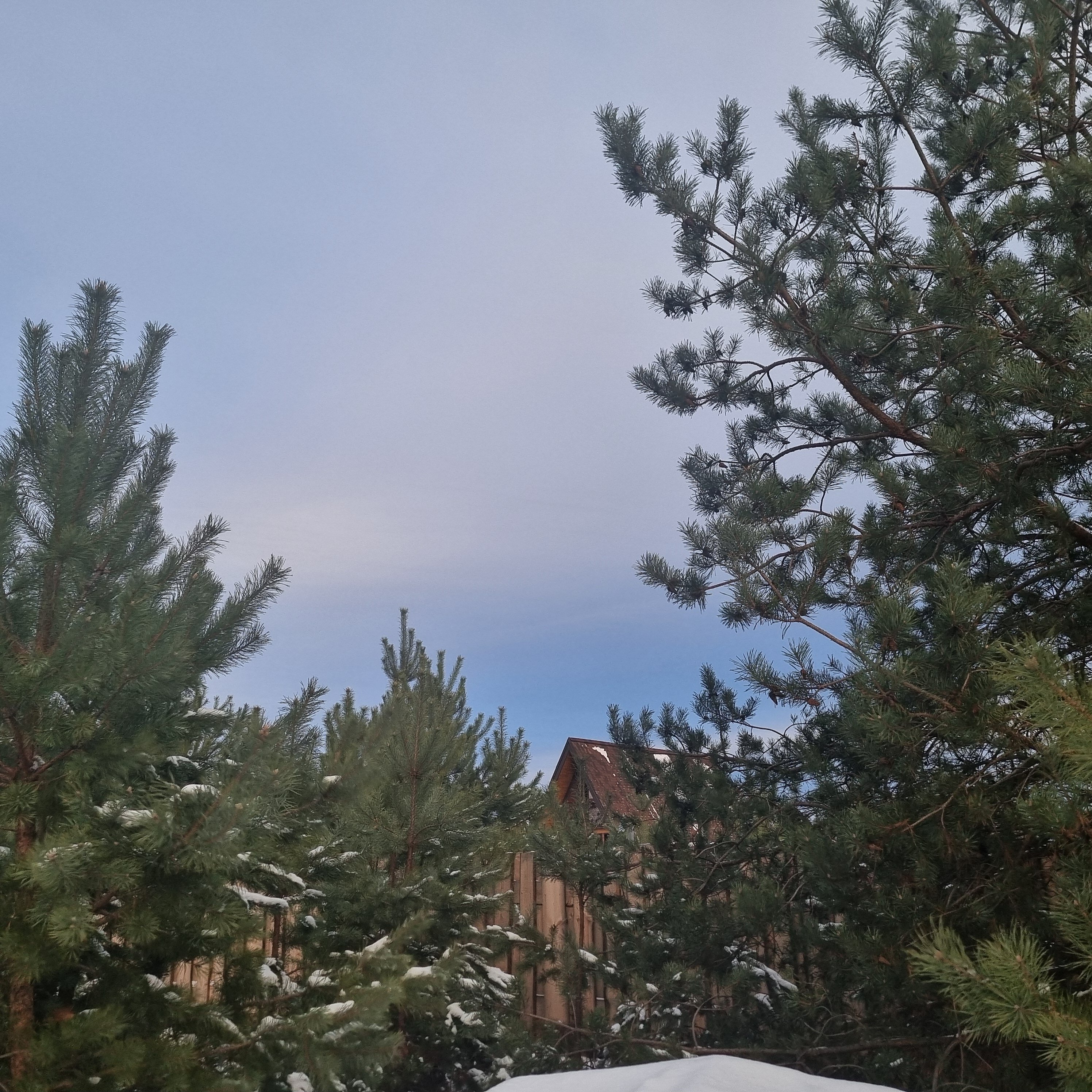 Фото Тишина