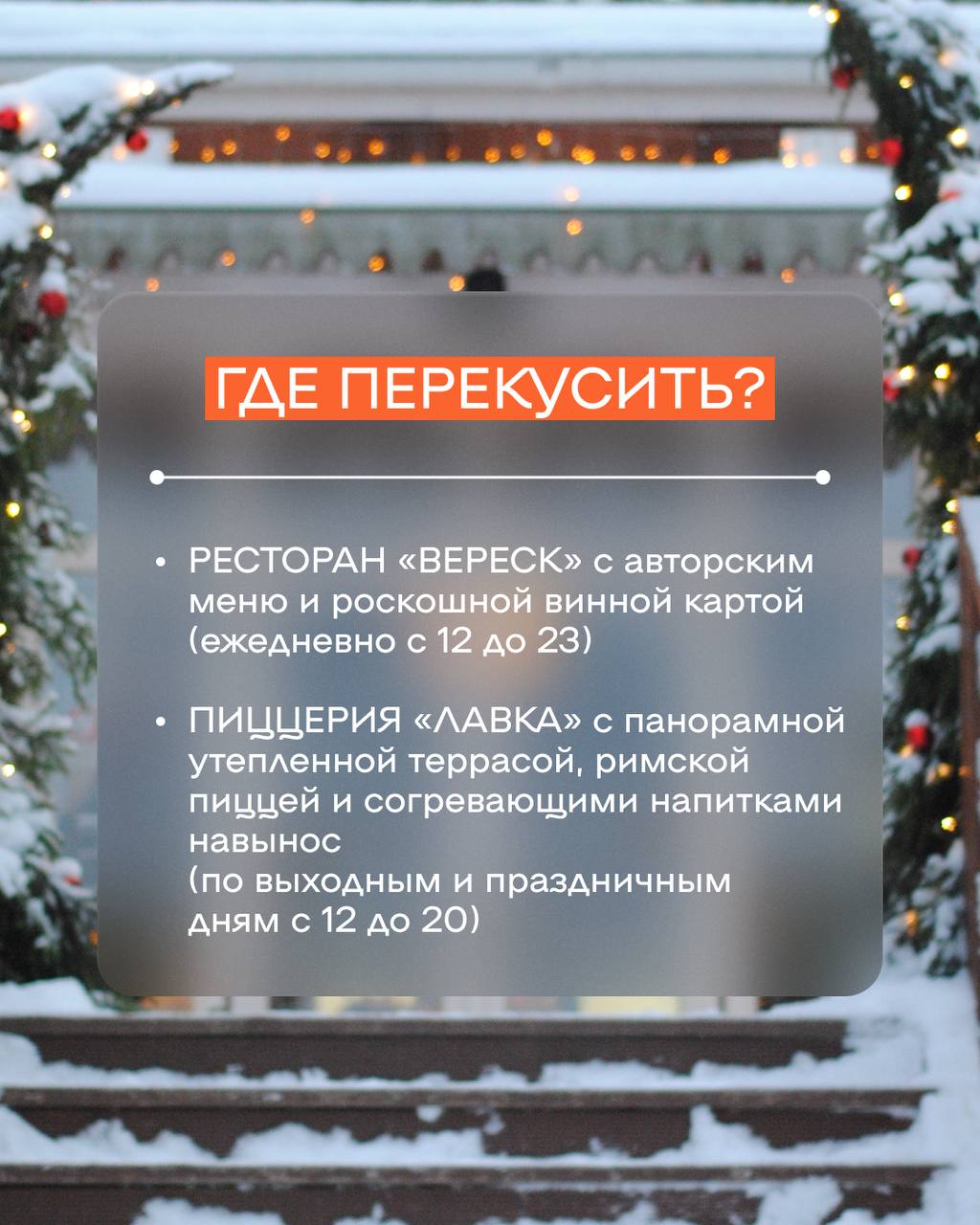 Фото Вереск