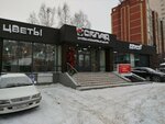 Склад (Yakovleva Street, 23) ، محل زهور