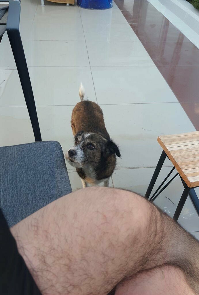 Cafe Sky Hookah Lounge, Ayvalik, photo