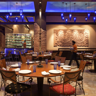 Фото Radisson Blu Plaza Hotel, Delhi Airport