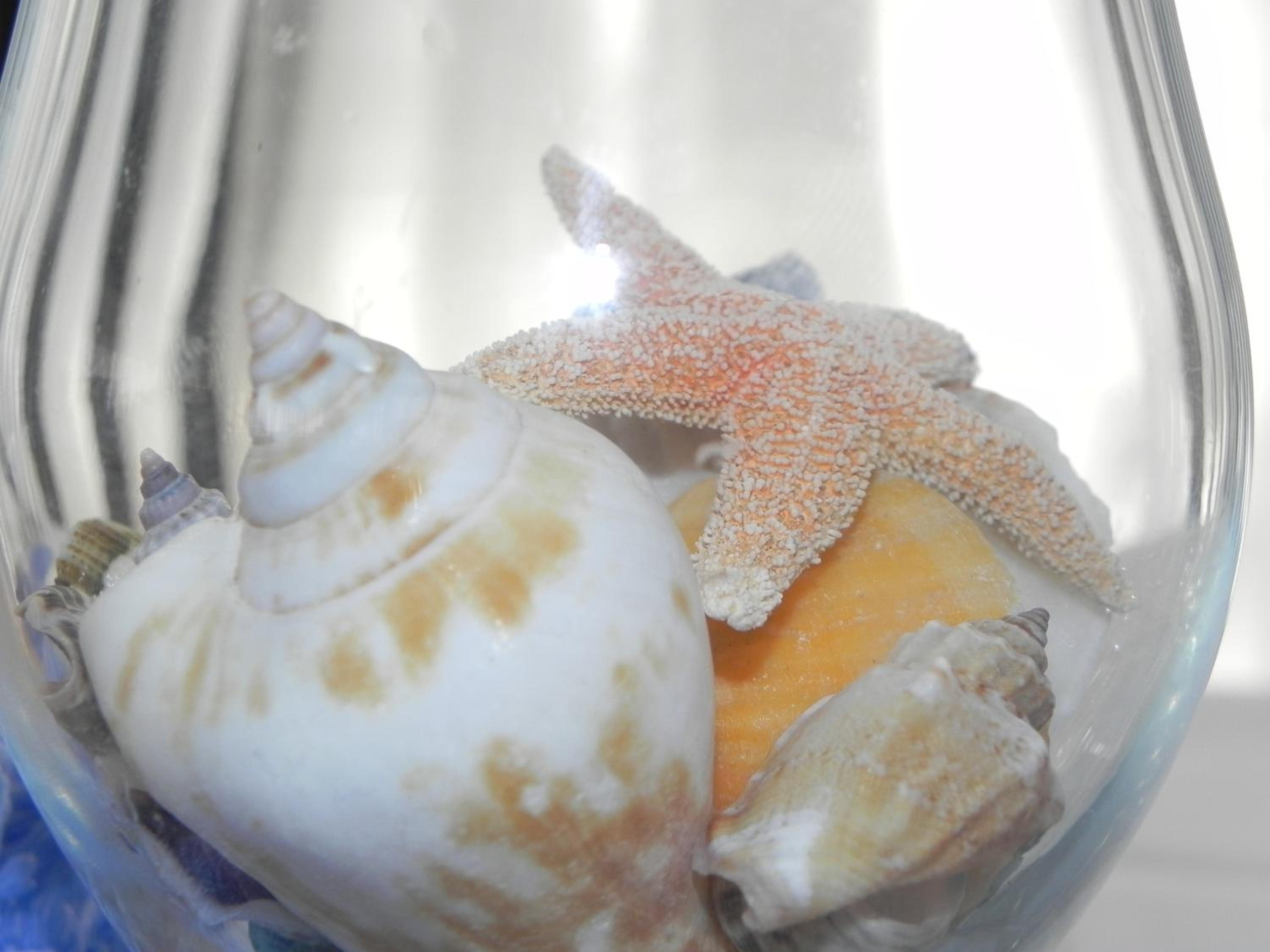 Фото Hotel Arizona