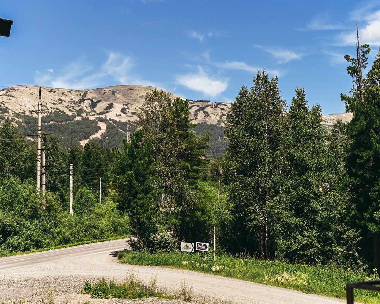 Фото Гринберг
