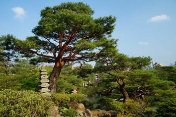 Гостиница Meisho Sansuien - Yuda Onsen - в Ямагути