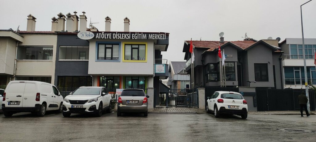 Management company Bite Information Technologies, Ankara, photo