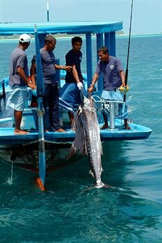 Гостиница Nika Island Resort & SPA на Атолле Алиф-Алиф