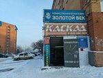 Сибсервисбыт (Vilskogo Street, 16), dry cleaning