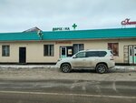 Pharmacy (Nauryzbai City Administrative District, Qalqaman-2 shaǵyn aýdany, Baızaq Batyr kóshesi, 101) ، صيدلية