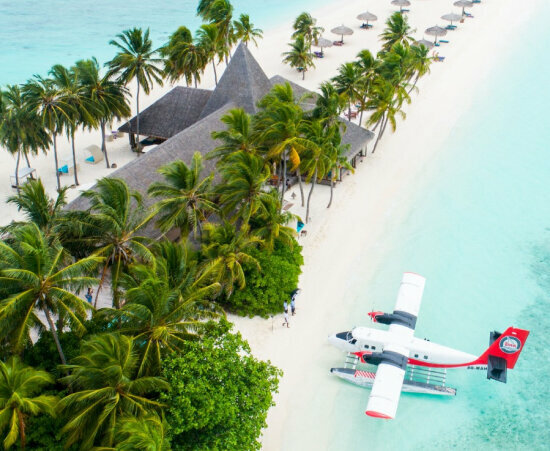 Travel agency Citrus Travel, Astana, photo