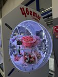 Rose-Novoross (Novorossiysk, territoriya Tsemdolina, Lenina Street, 7Ж) ، flower shop