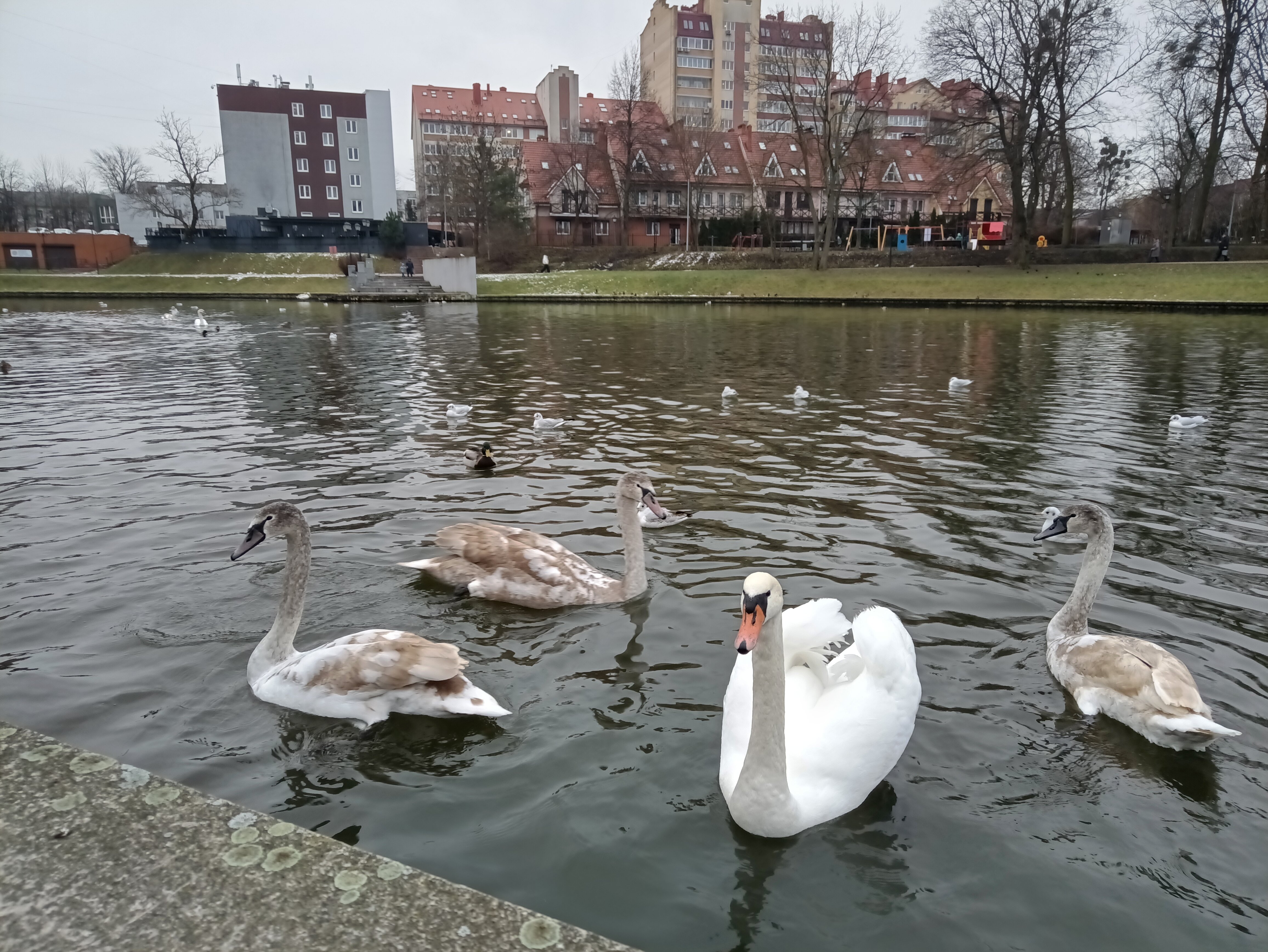 Фото Апартаменты Горький