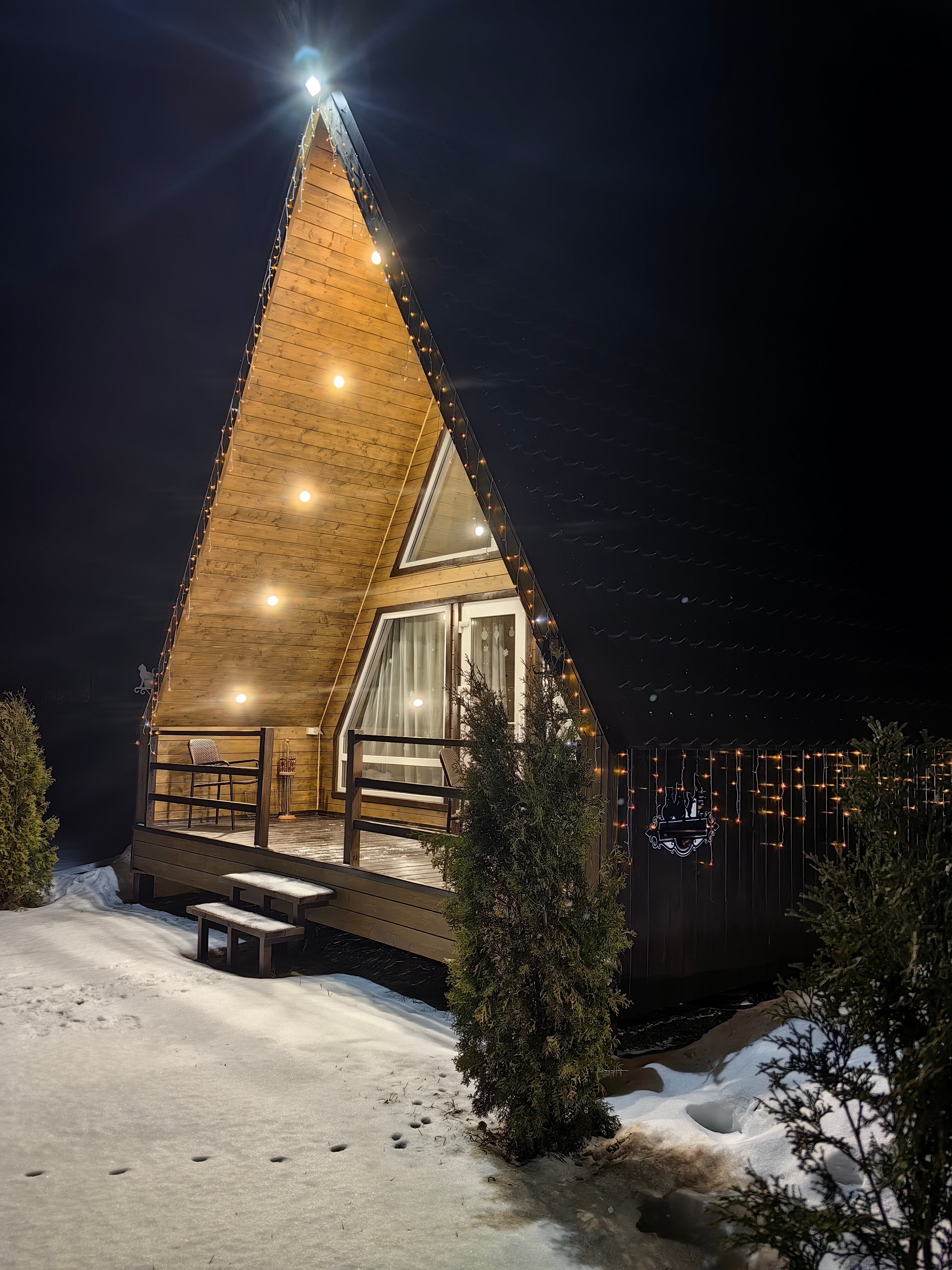 Фото Волшебный лес