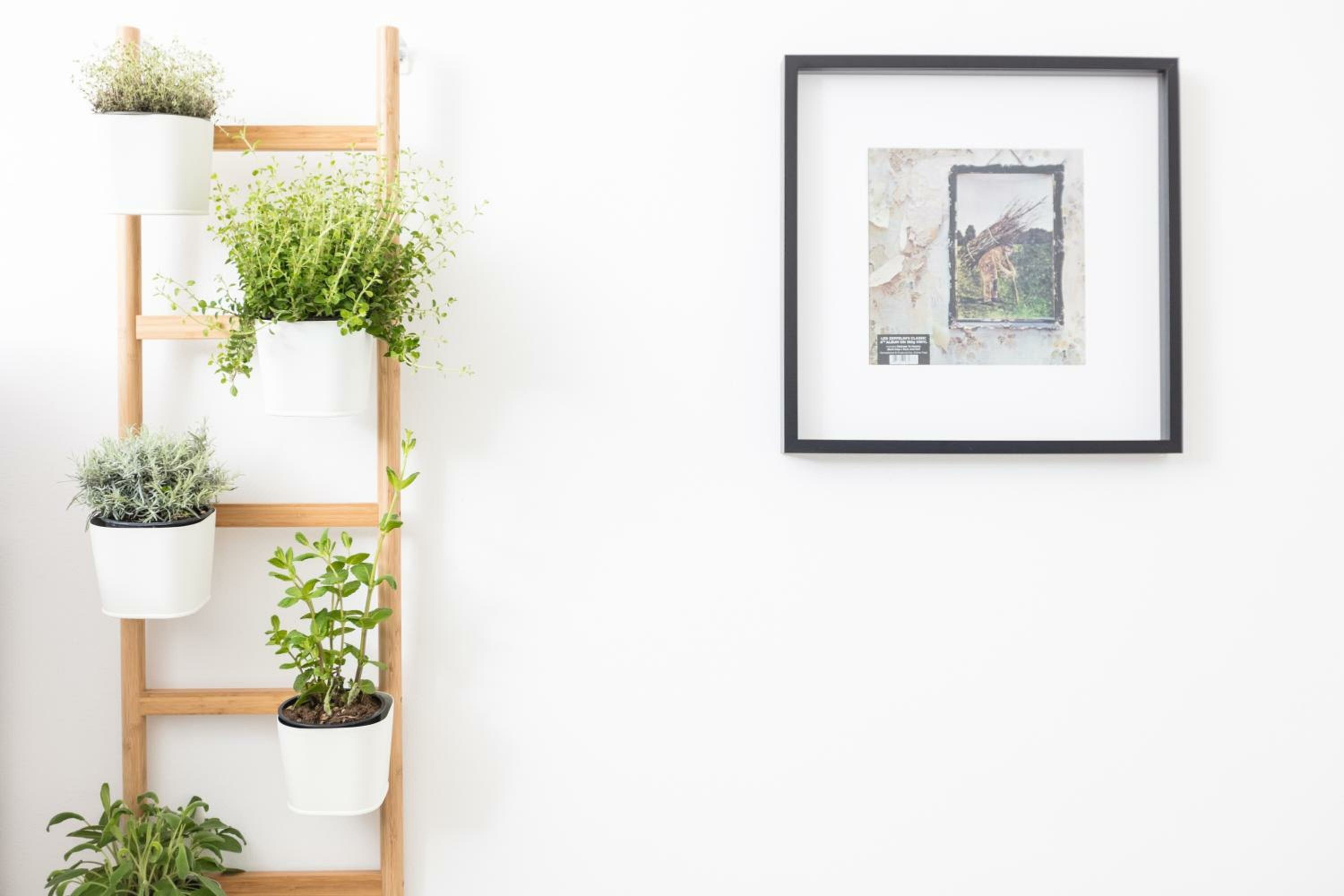 Фото Chill Apartments