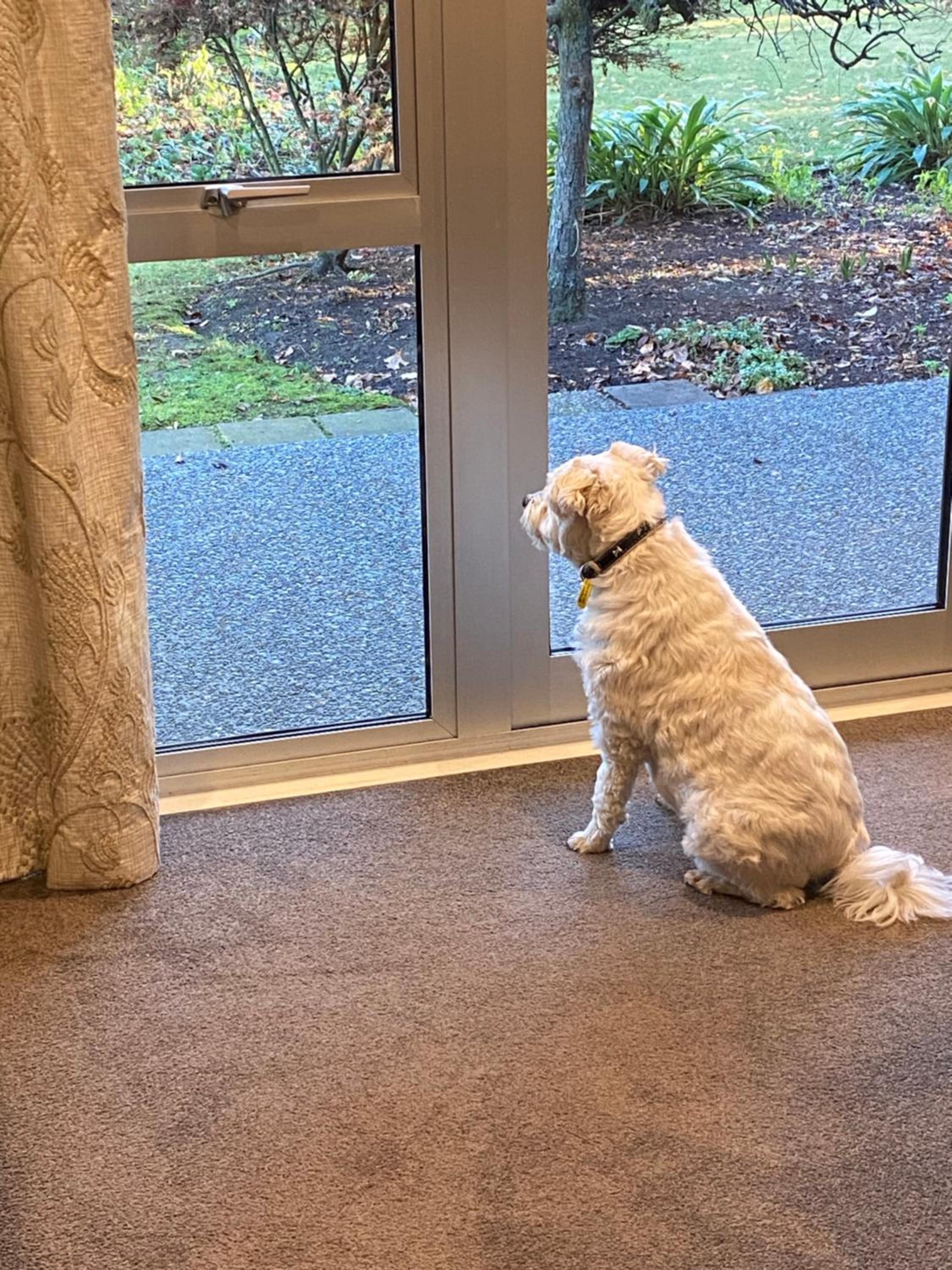 Фото Silverstream Lodge