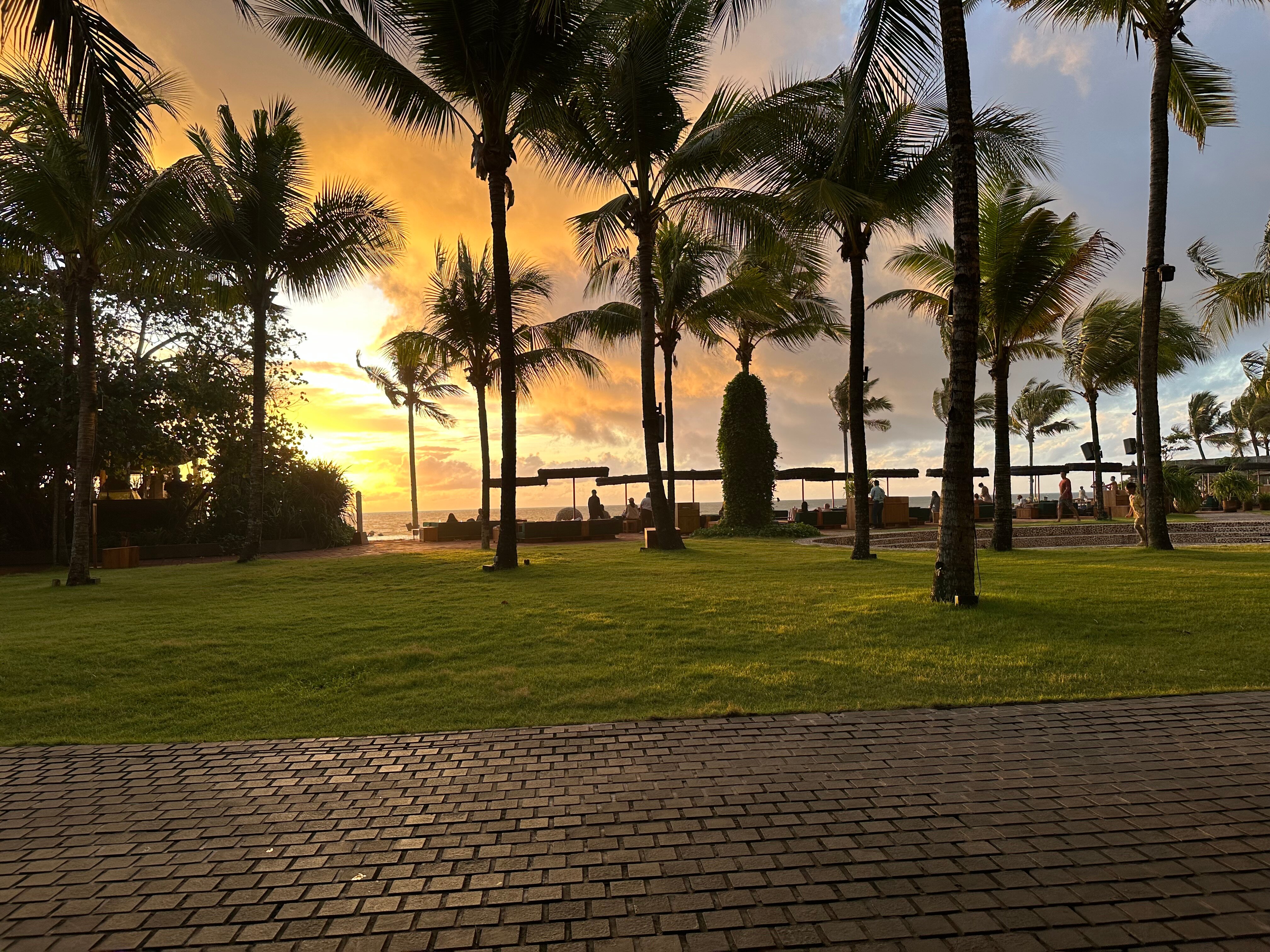 Фото Potato Head Suites & Studios