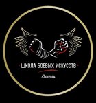 Школа боевых исскуств (ulitsa Furmanova, 81), sports school