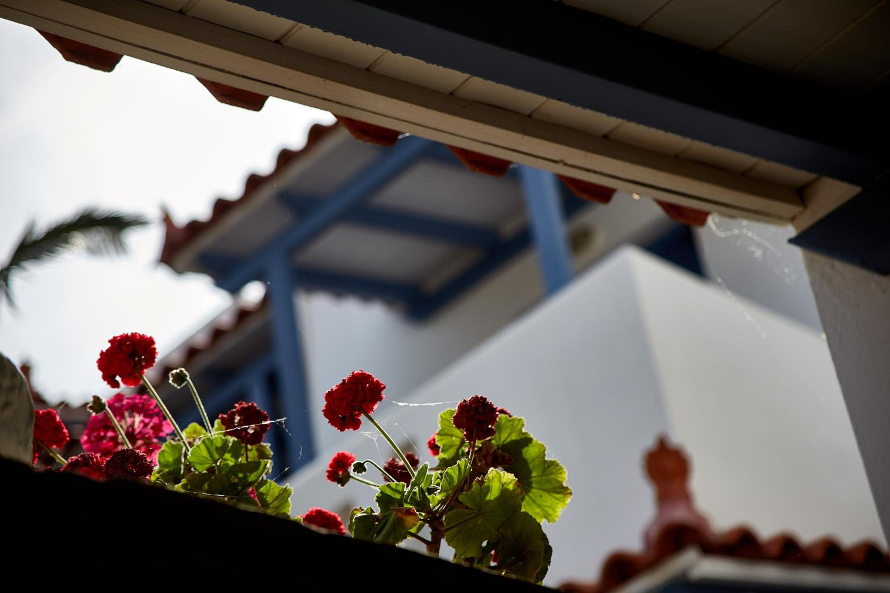 Фото Studios Irene