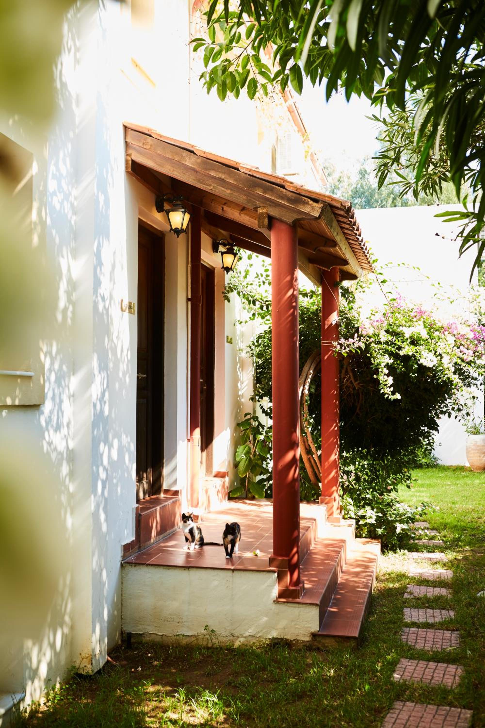 Фото Vamos Palace