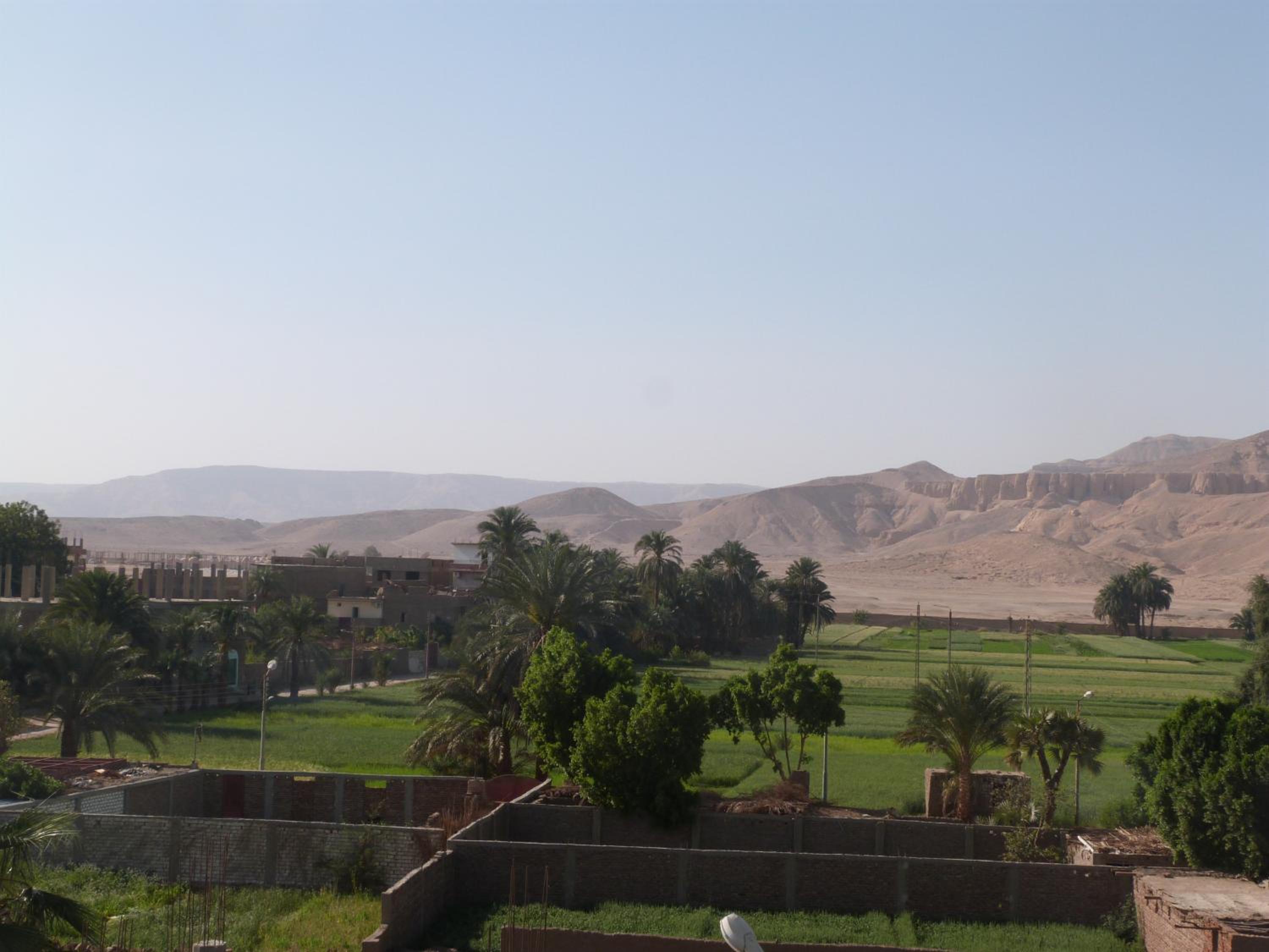 Фото Mountain View Apartments