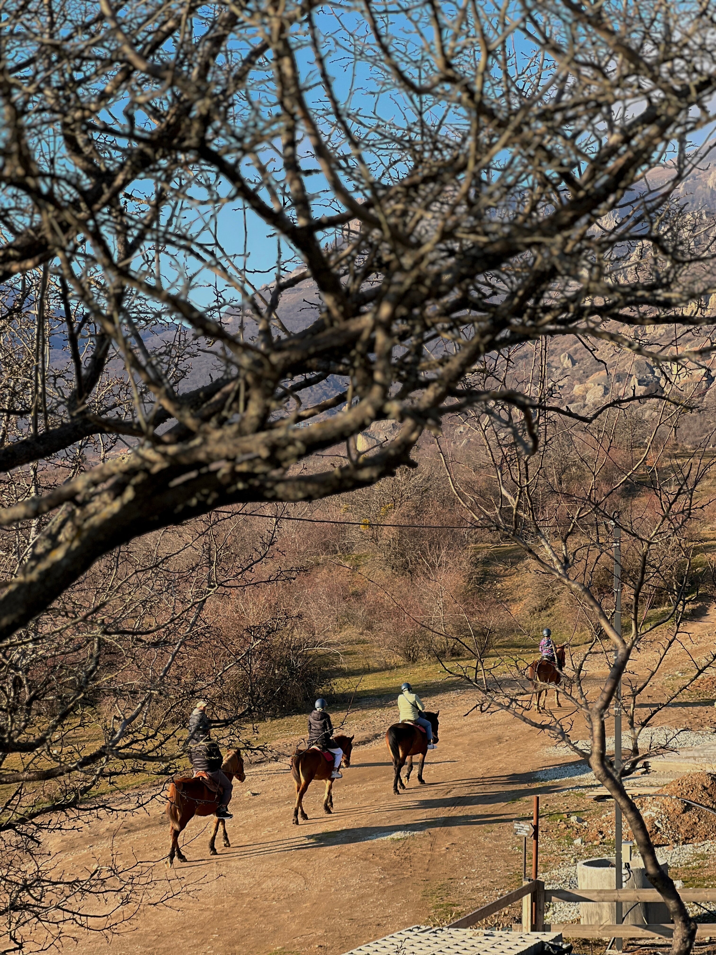 Фото Домик в горах