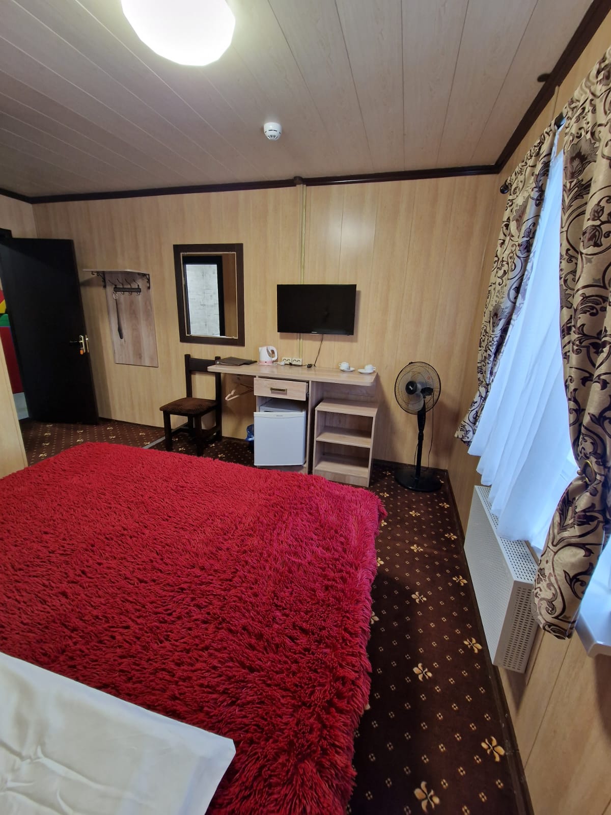 Фото Пеликен