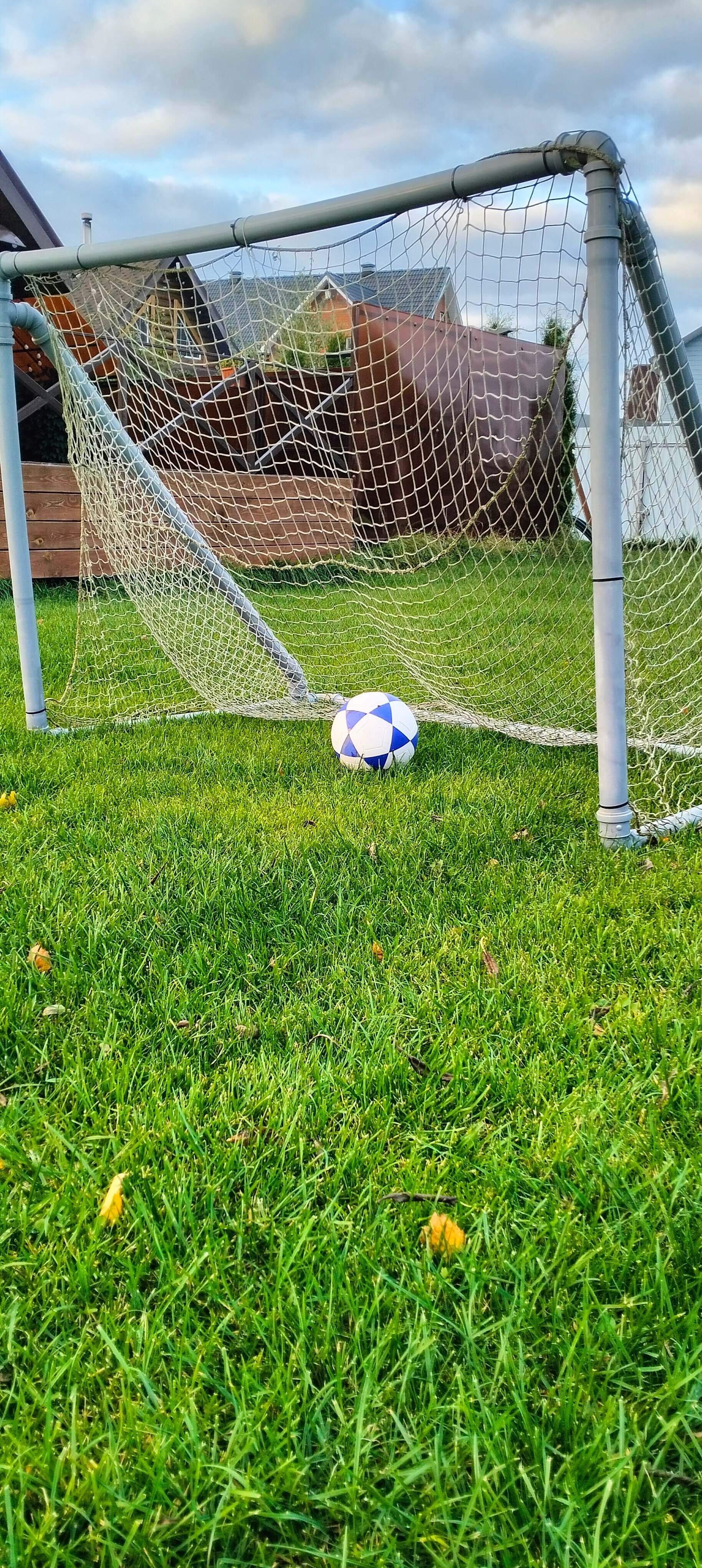 Фото Медведково