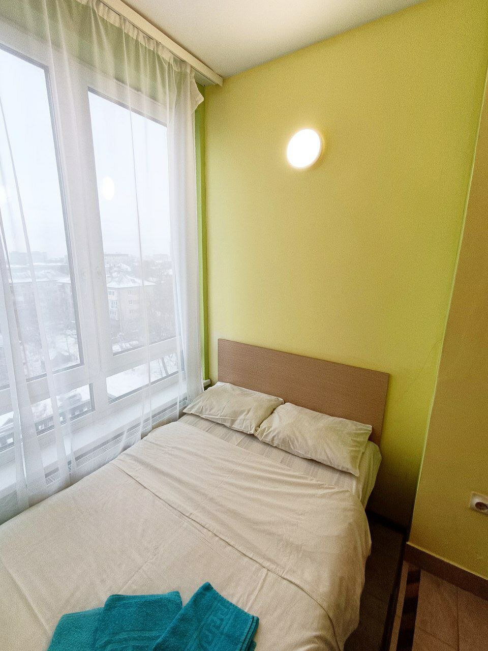 Фото Клевер Удачи