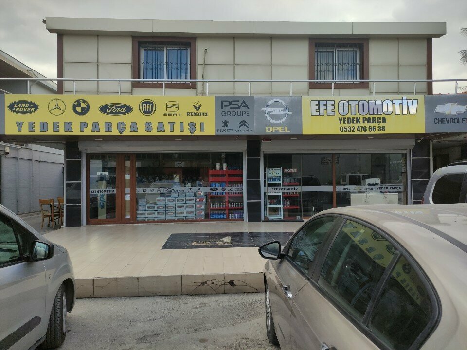 Auto parts and auto goods store Efe Automotive, Izmir, photo
