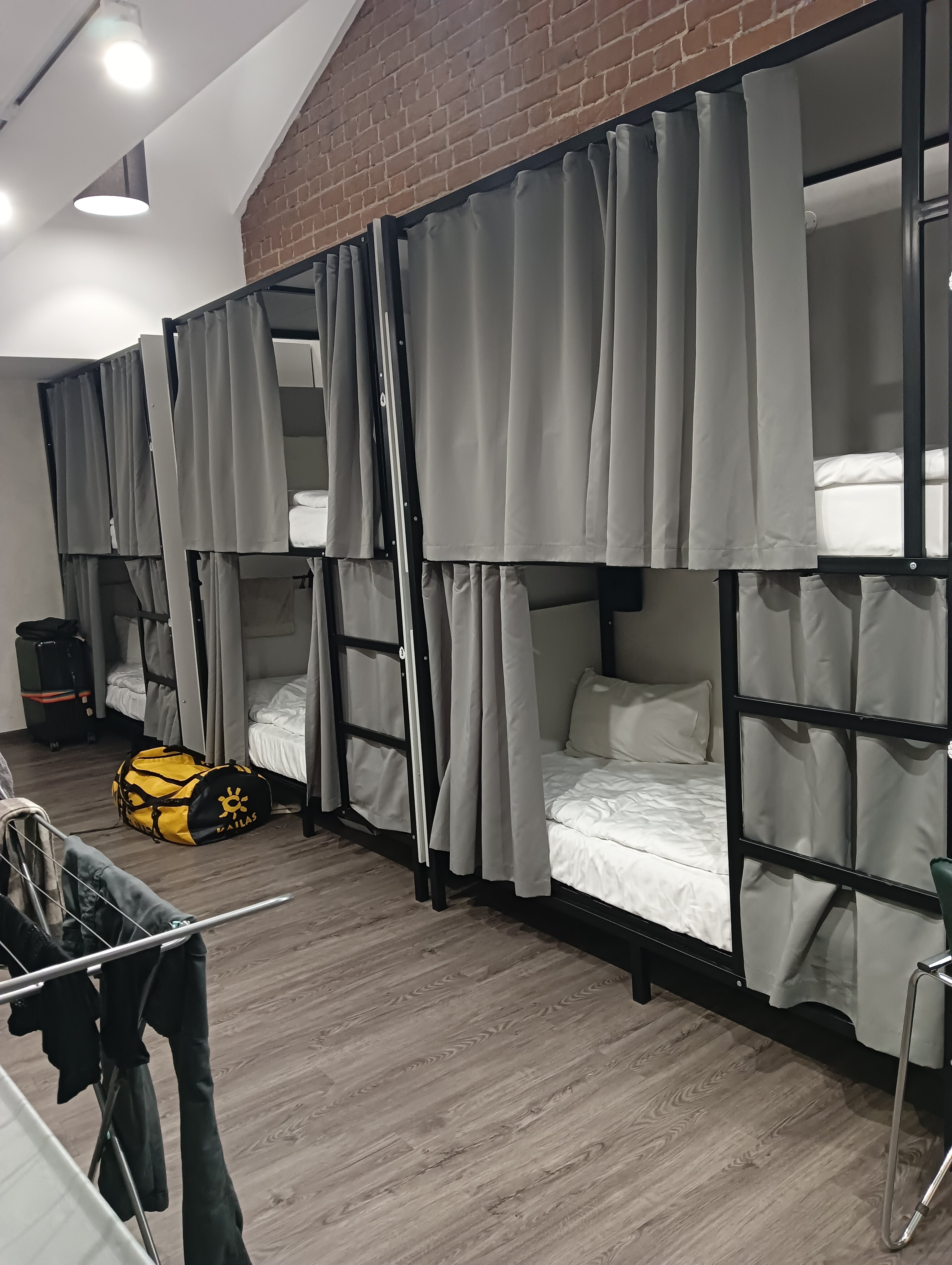 Фото Иркутский кедр