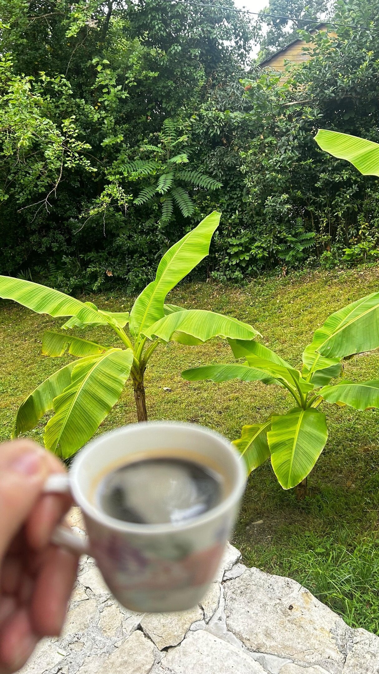 Фото Lodge Korkmaz