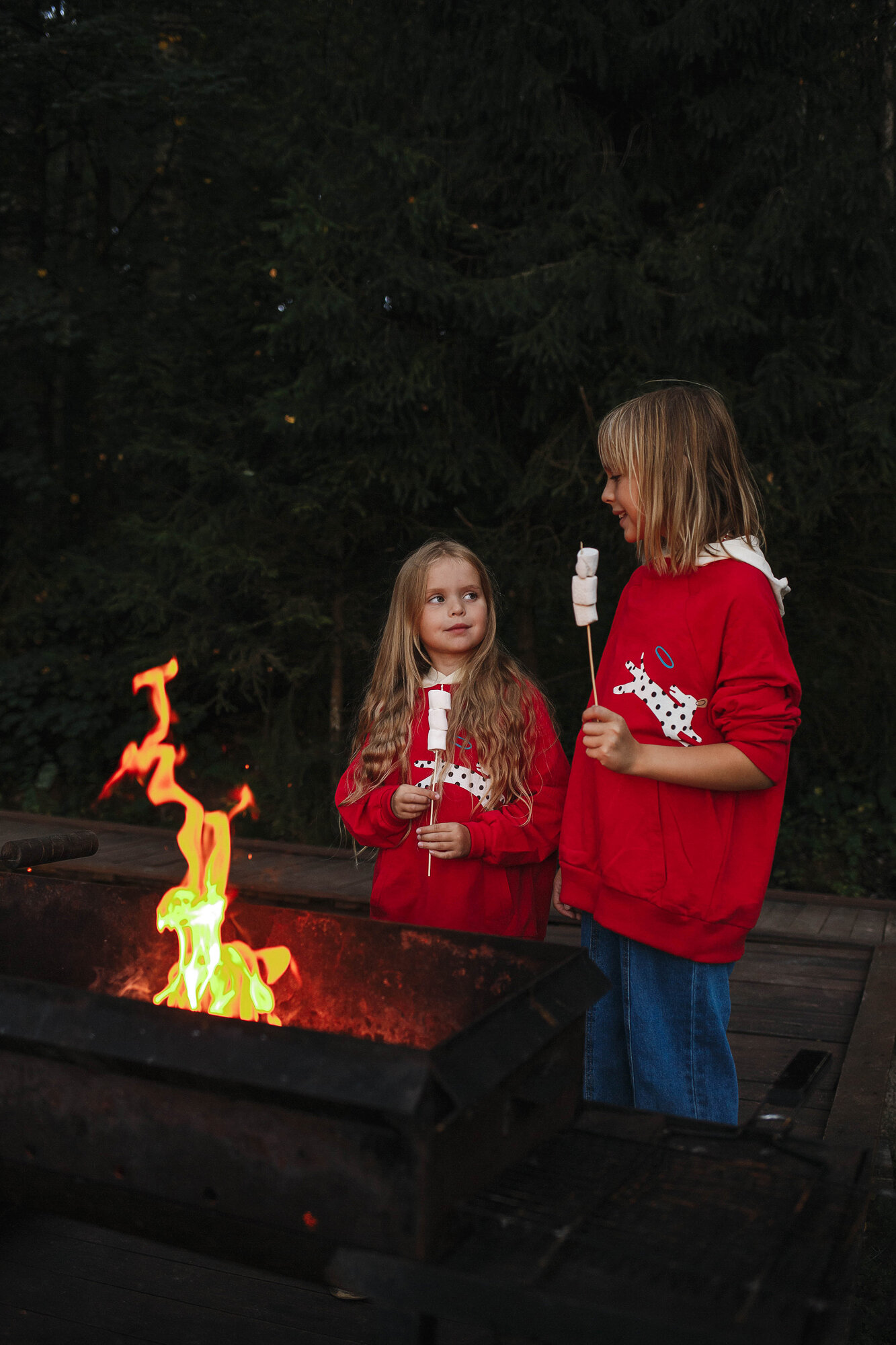 Фото Вежи Волжские