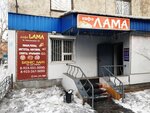 Лама (ulitsa Oorzhaka Lopsanchapa, 39), cafetería